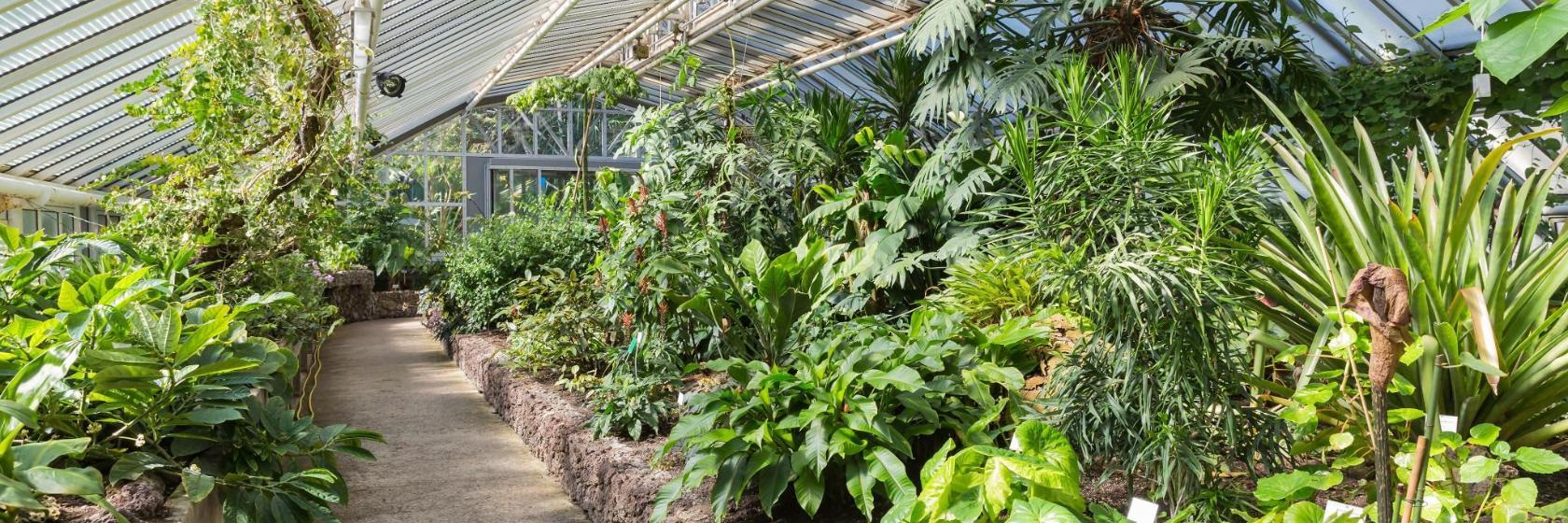 Orto botanico di Berlino